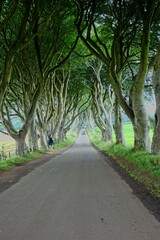 Taking a day trip from Dublin to the Northern Ireland coast and Giant's Causeway