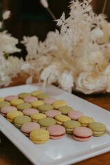 Close-up of colorful macarons on a white plate with a blurred floral background