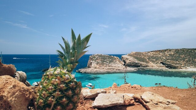 pineapple cocktail. Beautiful crystal clear turquoise water of Blue Lagoon. Boats floating, tourists swimming. In the background Cominotto island. High quality photo