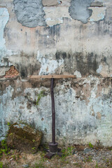 Ivy covered the walls of the old building.