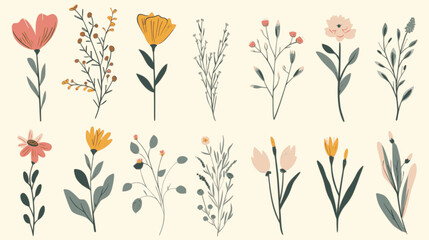 Set of hand drawn flowers, branches and leaves. Doodle style minimalistic flowers with elegant leaves. minimalistic vector. Illustrations