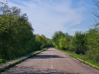 road in the park