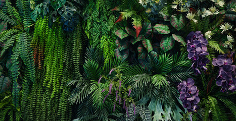 Full Frame of Green Leaves Pattern Background, Nature Lush Foliage Leaf Texture, tropical leaf.