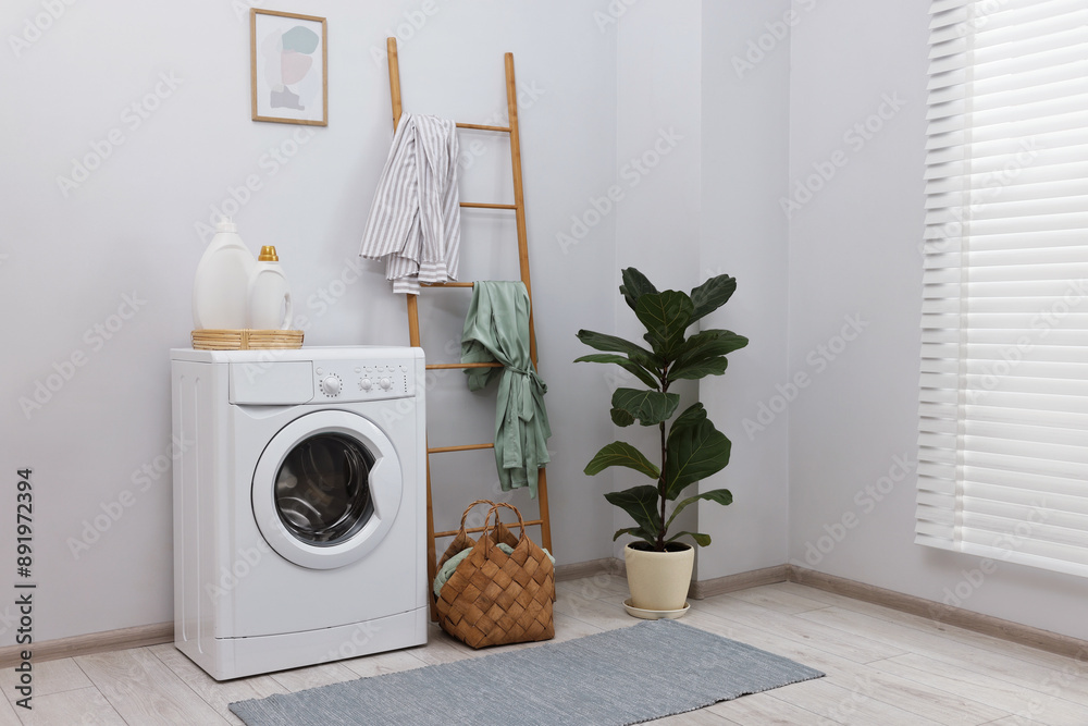 Canvas Prints Washing machine, detergents, houseplant and ladder in laundry room