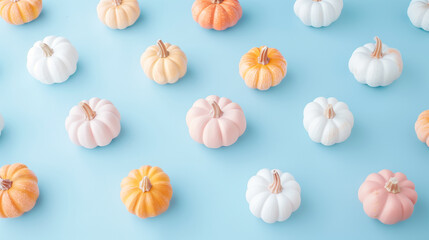 Small orange white and pink pumpkins on pastel blue background