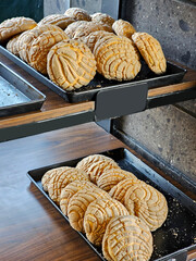 Delicious Mexican Concha sweet bread on bakery trays for sale freshly baked fresh and fluffy
