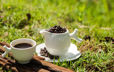 Freshly roasted coffee beans in a white glass on the grass