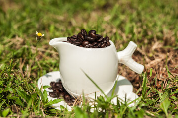 Freshly roasted coffee beans in a white glass on the grass
