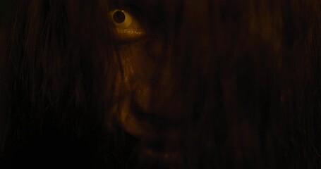 Horror scene of a mysterious Scary closeup Asian ghost woman creepy have hair covering the face looking to camera at abandoned house with background dark scene movie at night, festival Halloween