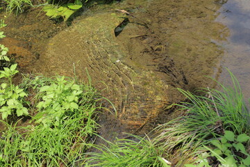 岐阜県高山市せせらぎ街道西ウレ峠の池の中の石