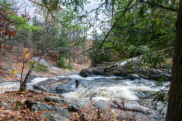 Amidst the autumnal colors, the Chutes du Moulin cascade flows forcefully over rugged rocks, framed by a tranquil forest in Quebec, offering a serene yet dynamic natural scene.