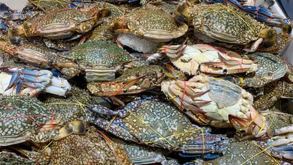 Raw crabs displayed in supermarket. Fresh seafood concept