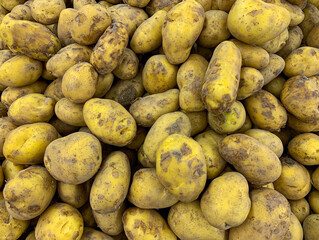 Top view of raw potatoes displayed in supermarket. Healthy food concept