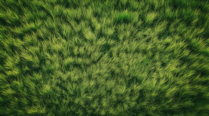 Fototapeta premium Green grass, top view background texture. Home garden lawn, sports field. AI generated.
