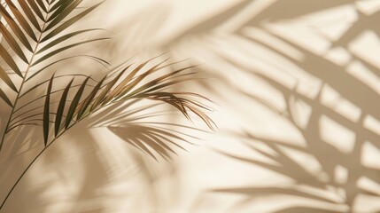 Obraz premium Minimalistic summer background with blurred sunlight shadow of palm leaves on neutral beige backdrop