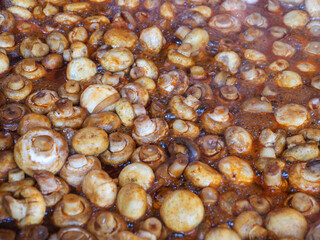 Sauteed Fresh Mushrooms in Savory Sauce