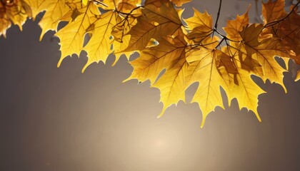 Golden Autumn Leaves.