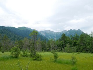 上高地の田代湿原から見る穂高連峰（長野：松本）