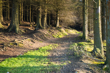 Dublin, Ireland - city and nature views from the top of a hill