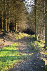 Dublin, Ireland - city and nature views from the top of a hill