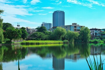 池と新緑と青い空