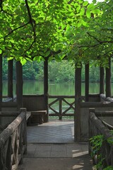 池の上の小さな小屋