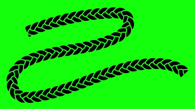 wavy illustration video animation curly long fashion silhouette hairstyle logo hair icon beauty hairdresser braid woman girl female wig outline haircut plait style for green screen footage