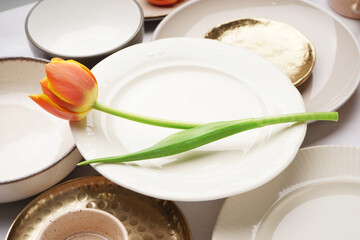 Composition with different clean dishes and tulip flower on white background