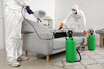 Male workers disinfecting sofa in room
