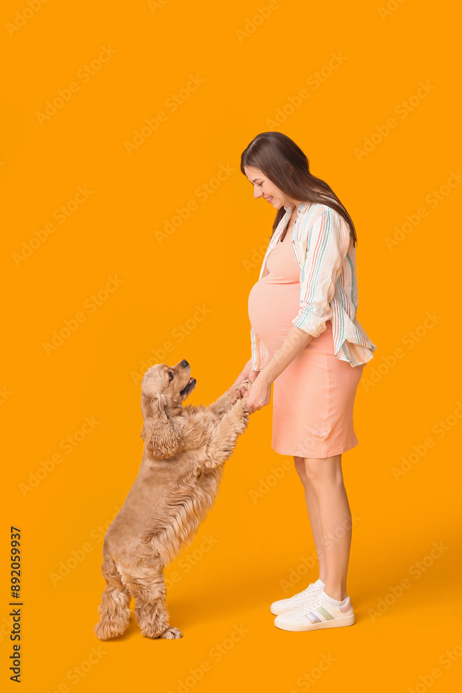 Wall mural Beautiful young pregnant woman with cute Cocker Spaniel dog on yellow background