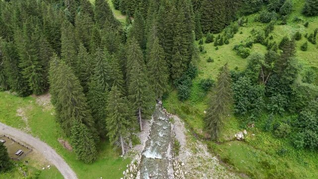 fiume montagna drone ossana val di sole Trentino 