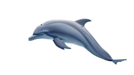 Isolated dolphin isolated on white background.