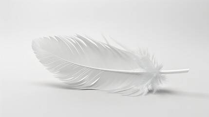 Beautiful sketching white feather on white background