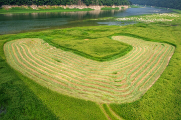 The beautiful green field on summer.  © Chongbum Thomas Park