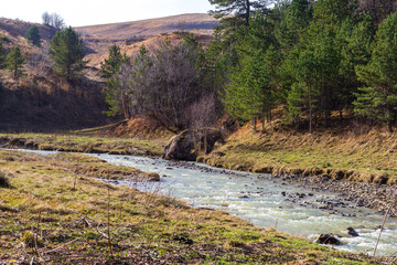 A shallow riverbed with an exposed rocky bottom, a small stream and a flow of water, autumn in...