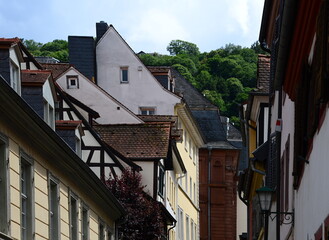 Narrow Street in the Old Town of Heidelberg, Baden - Württemberg