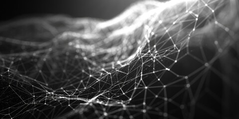 Digital Web Tapestry: A Complex Network of Interwoven Connections Evoking the Artistry of Cyberspace Spiders