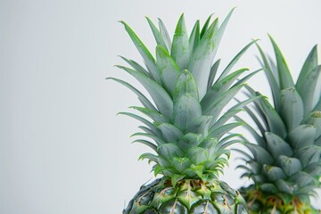 Fototapeta premium Mystic photo of Natal Queen Pineapple on the vine , isolated on white background