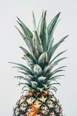 Fototapeta premium Mystic photo of Sugarloaf Pineapple, isolated on white background
