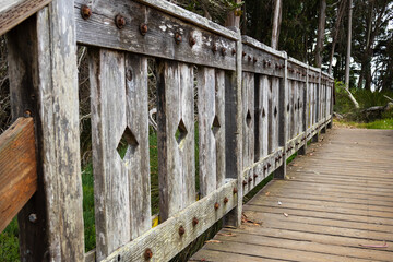 wooden bridge in the forest