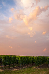 Obraz premium morning clouds in orange