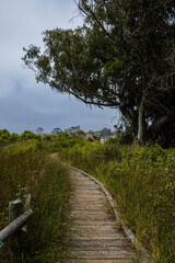 Fototapeta premium boardwalk by the bay