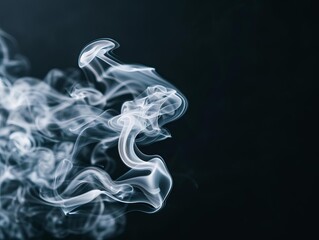 Fototapeta premium Smoke forming delicate swirls, abstract shapes, ethereal feel