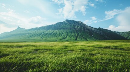 Fototapeta premium Fields of green beneath a mountain