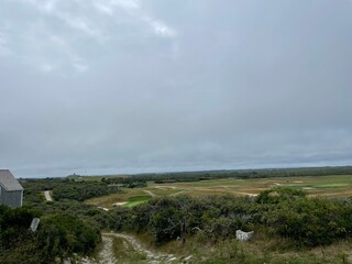 cloudy and grass landscape