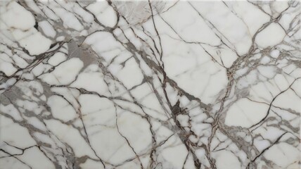 Classic marble surface with a pristine white base and delicate gray veining, ideal for sophisticated designs. 