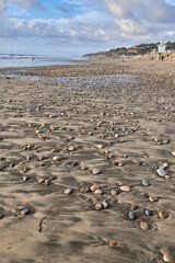 Travel, sand and coast of beach with stones or rocks on shore, tropical getaway and scenic environment for journey. Adventure, weekend outdoor and holiday trip for summer vacation in California.