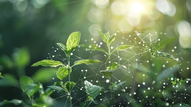 Natural green plants with digital connection network for conceptualizing sustainable natural ecosystem integration environmental technology and green innovation concept.