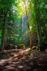 Obraz premium Epic Summer Hike to Refugiul Țigănești: Camping on the Ridge and Exploring Cabana Mălăiești