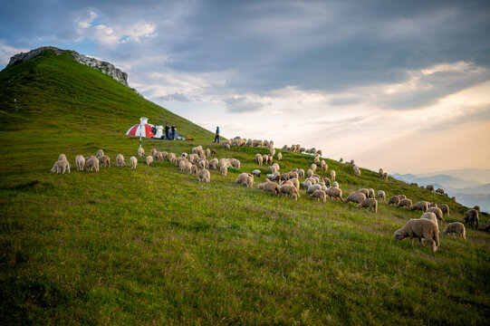 Epic Summer Hike to Refugiul Țigănești: Camping on the Ridge and Exploring Cabana Mălăiești